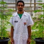 Engenheiro agrônomo Sérgio Barbosa Ferreira Rocha, fundador e diretor da ADWA Cannabis (Foto: Divulgação)