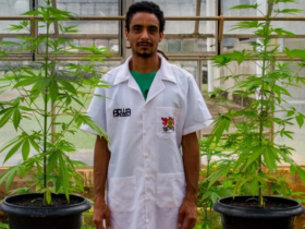 Engenheiro agrônomo Sérgio Barbosa Ferreira Rocha, fundador e diretor da ADWA Cannabis (Foto: Divulgação)