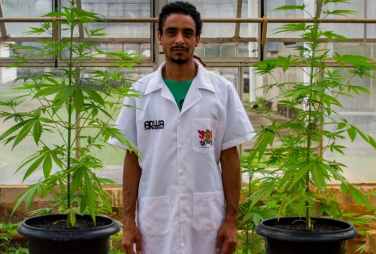 Engenheiro agrônomo Sérgio Barbosa Ferreira Rocha, fundador e diretor da ADWA Cannabis (Foto: Divulgação)