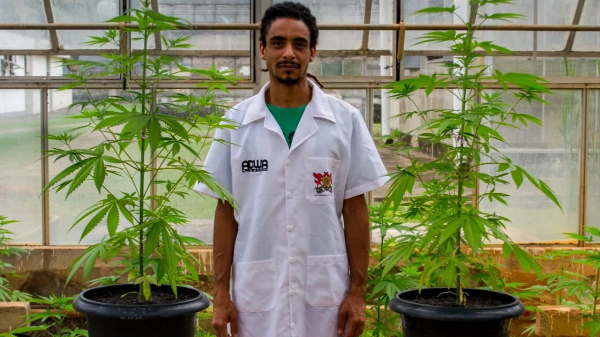 Engenheiro agrônomo Sérgio Barbosa Ferreira Rocha, fundador e diretor da ADWA Cannabis (Foto: Divulgação)