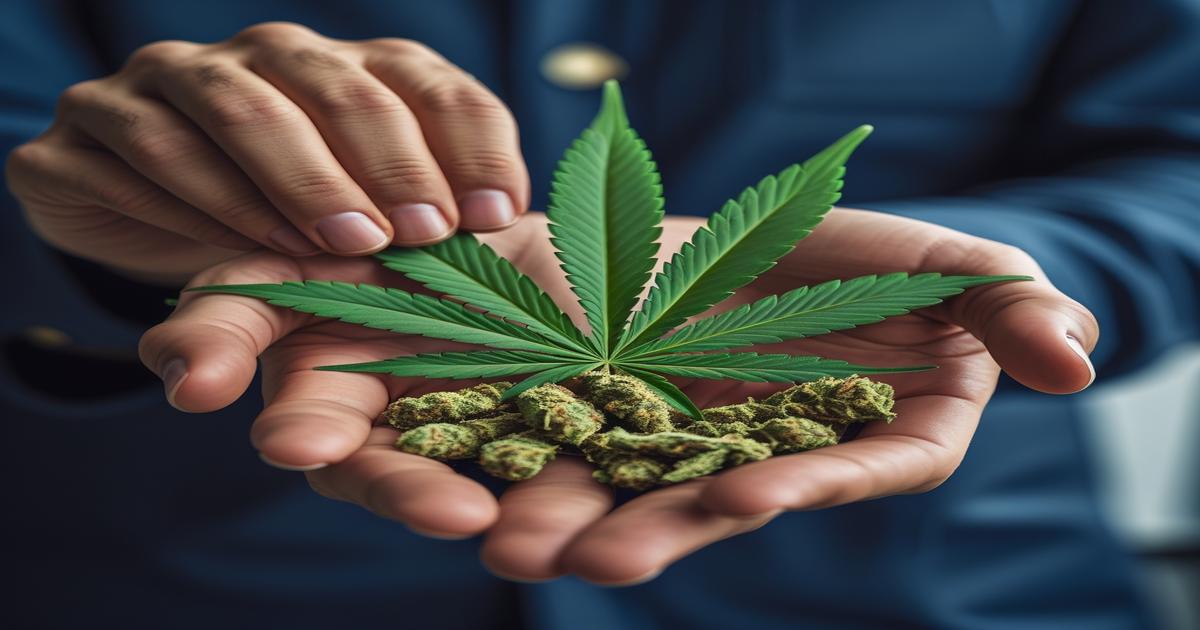 Imagem gerada por IA para ilustrar o conteúdo da Revista Ganja.