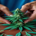Imagem gerada por IA para ilustrar o conteúdo da Revista Ganja.