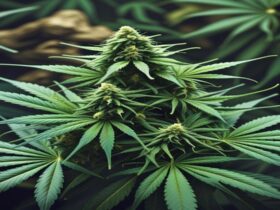 Imagem gerada por IA para ilustrar o conteúdo da Revista Ganja.