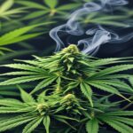 Imagem gerada por IA para ilustrar o conteúdo da Revista Ganja.