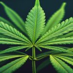 Imagem gerada por IA para ilustrar o conteúdo da Revista Ganja.