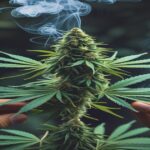 Imagem gerada por IA para ilustrar o conteúdo da Revista Ganja.