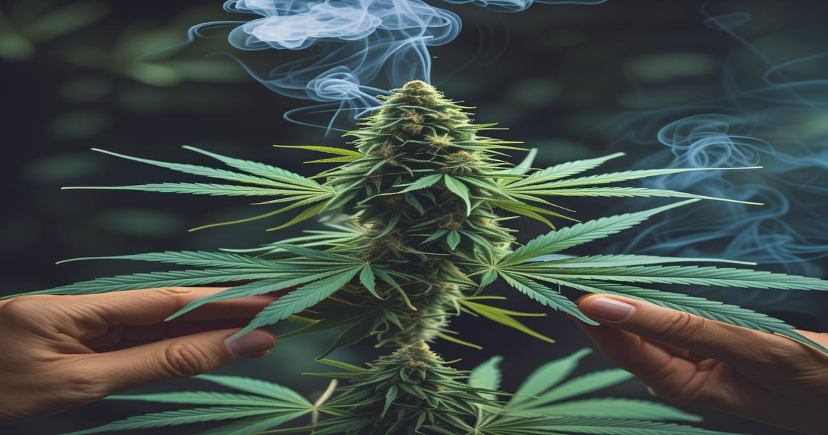 Imagem gerada por IA para ilustrar o conteúdo da Revista Ganja.