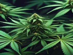 Imagem gerada por IA para ilustrar o conteúdo da Revista Ganja.