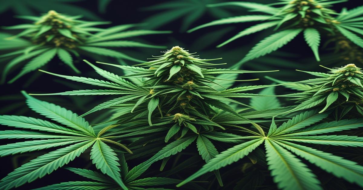 Imagem gerada por IA para ilustrar o conteúdo da Revista Ganja.