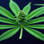 Imagem gerada por IA para ilustrar o conteúdo da Revista Ganja.
