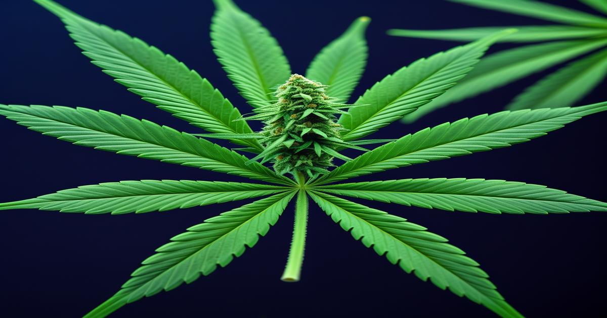 Imagem gerada por IA para ilustrar o conteúdo da Revista Ganja.
