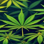 Imagem gerada por IA para ilustrar o conteúdo da Revista Ganja.