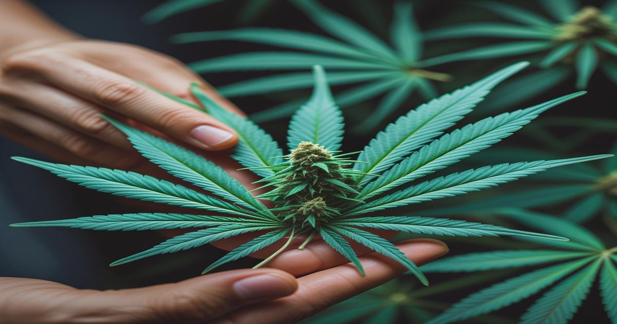 Imagem gerada por IA para ilustrar o conteúdo da Revista Ganja.