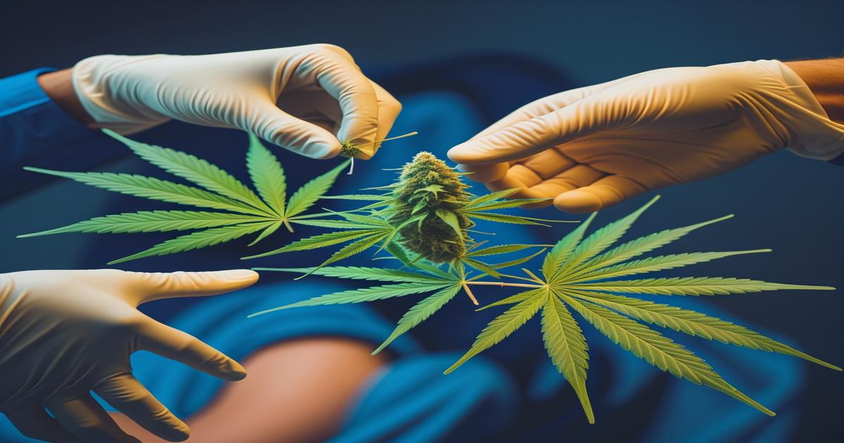 Imagem gerada por IA para ilustrar o conteúdo da Revista Ganja.