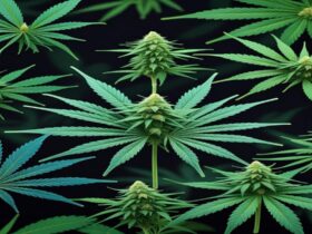 Imagem gerada por IA para ilustrar o conteúdo da Revista Ganja.