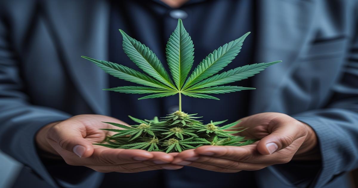 Imagem gerada por IA para ilustrar o conteúdo da Revista Ganja.