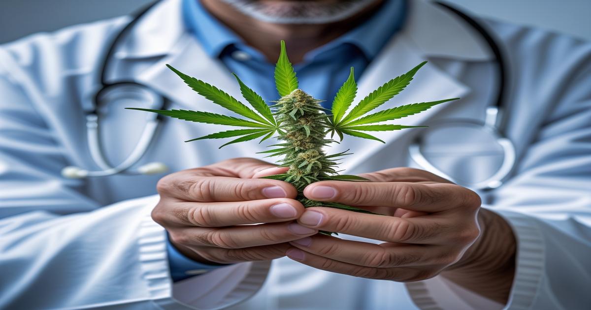 Imagem gerada por IA para ilustrar o conteúdo da Revista Ganja.