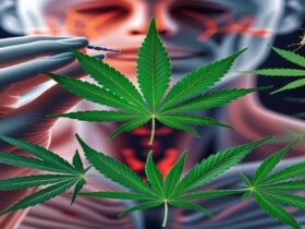 Imagem gerada por IA para ilustrar o conteúdo da Revista Ganja.