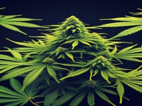 Imagem gerada por IA para ilustrar o conteúdo da Revista Ganja.