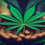 Imagem gerada por IA para ilustrar o conteúdo da Revista Ganja.