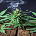 Imagem gerada por IA para ilustrar o conteúdo da Revista Ganja.