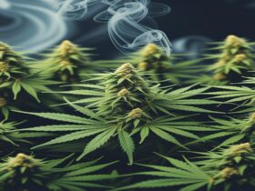 Imagem gerada por IA para ilustrar o conteúdo da Revista Ganja.