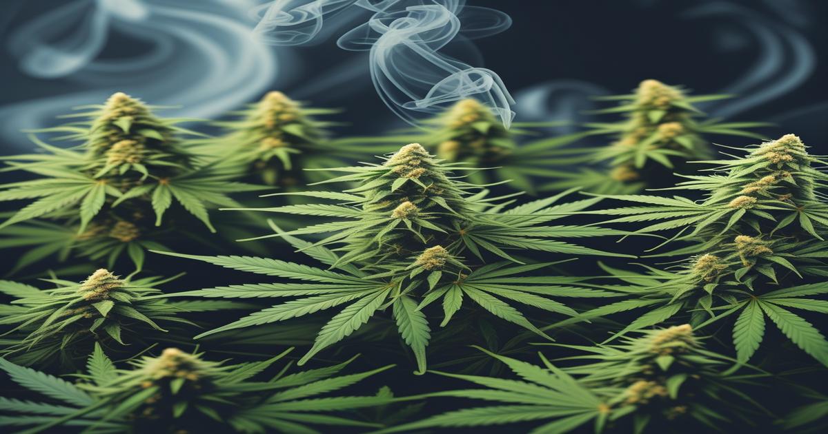 Imagem gerada por IA para ilustrar o conteúdo da Revista Ganja.