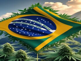 Imagem gerada por IA para ilustrar o conteúdo da Revista Ganja.