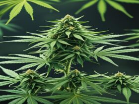 Imagem gerada por IA para ilustrar o conteúdo da Revista Ganja.