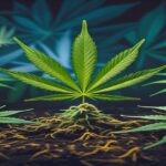 Imagem gerada por IA para ilustrar o conteúdo da Revista Ganja.