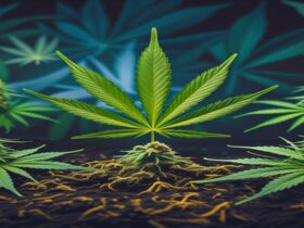 Imagem gerada por IA para ilustrar o conteúdo da Revista Ganja.