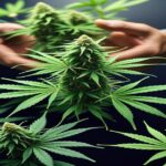 Imagem gerada por IA para ilustrar o conteúdo da Revista Ganja.