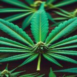 Imagem gerada por IA para ilustrar o conteúdo da Revista Ganja.