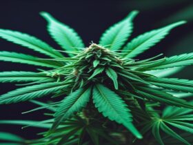 Imagem gerada por IA para ilustrar o conteúdo da Revista Ganja.