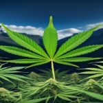 Imagem gerada por IA para ilustrar o conteúdo da Revista Ganja.