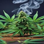 Imagem gerada por IA para ilustrar o conteúdo da Revista Ganja.