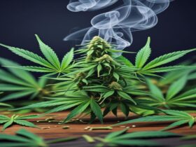 Imagem gerada por IA para ilustrar o conteúdo da Revista Ganja.