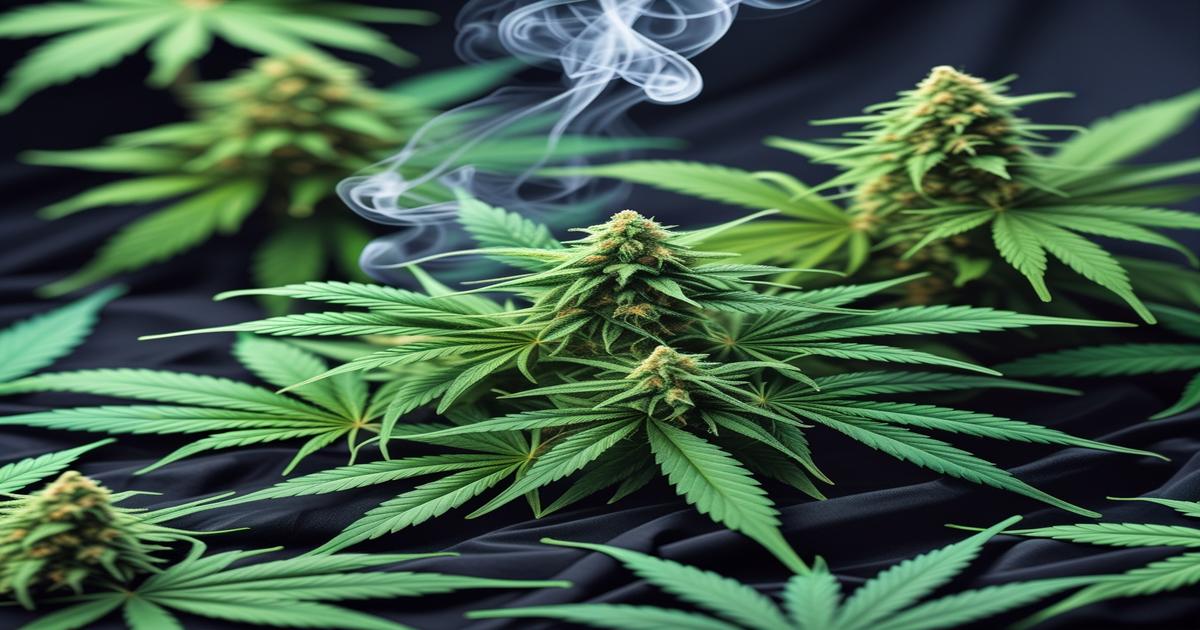 Imagem gerada por IA para ilustrar o conteúdo da Revista Ganja.