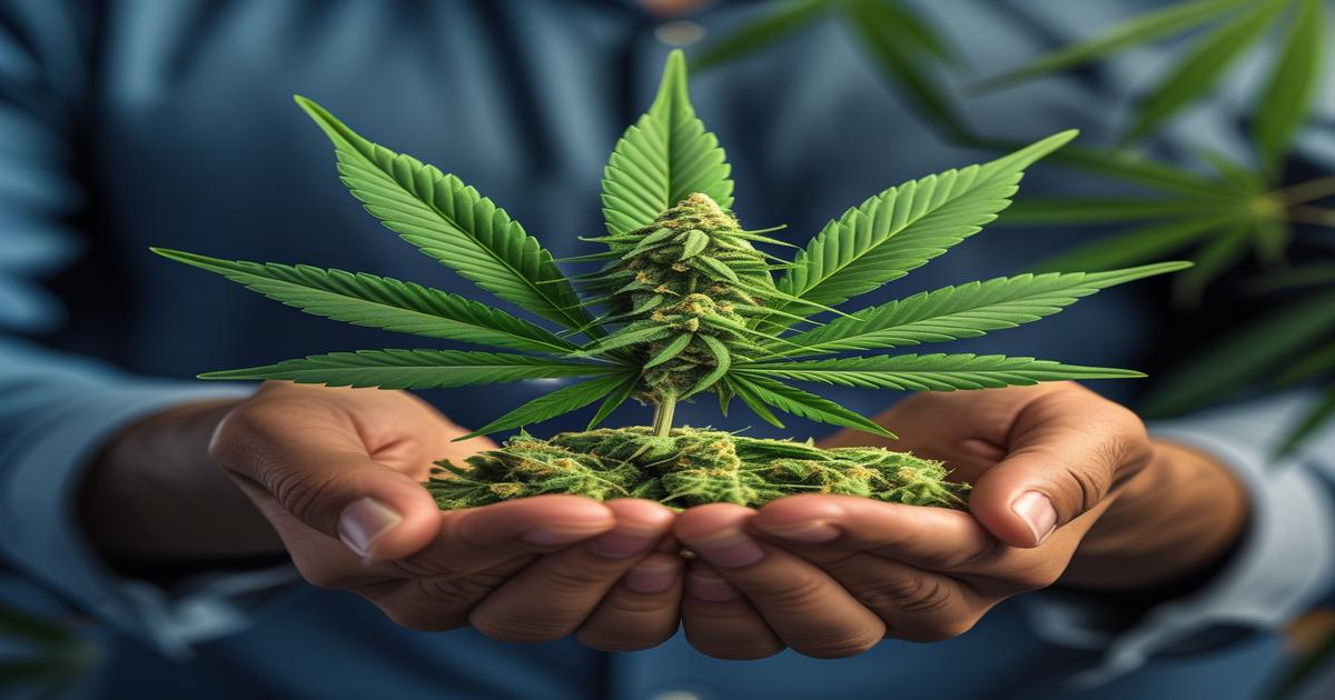 Imagem gerada por IA para ilustrar o conteúdo da Revista Ganja.