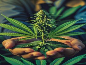 Imagem gerada por IA para ilustrar o conteúdo da Revista Ganja.