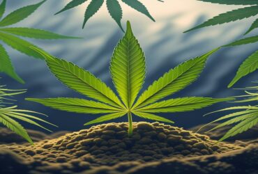 Imagem gerada por IA para ilustrar o conteúdo da Revista Ganja.