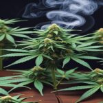 Imagem gerada por IA para ilustrar o conteúdo da Revista Ganja.