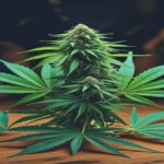 Imagem gerada por IA para ilustrar o conteúdo da Revista Ganja.