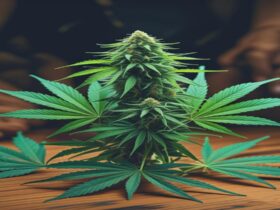 Imagem gerada por IA para ilustrar o conteúdo da Revista Ganja.