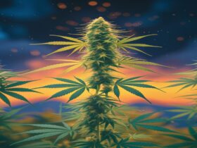 Imagem gerada por IA para ilustrar o conteúdo da Revista Ganja.