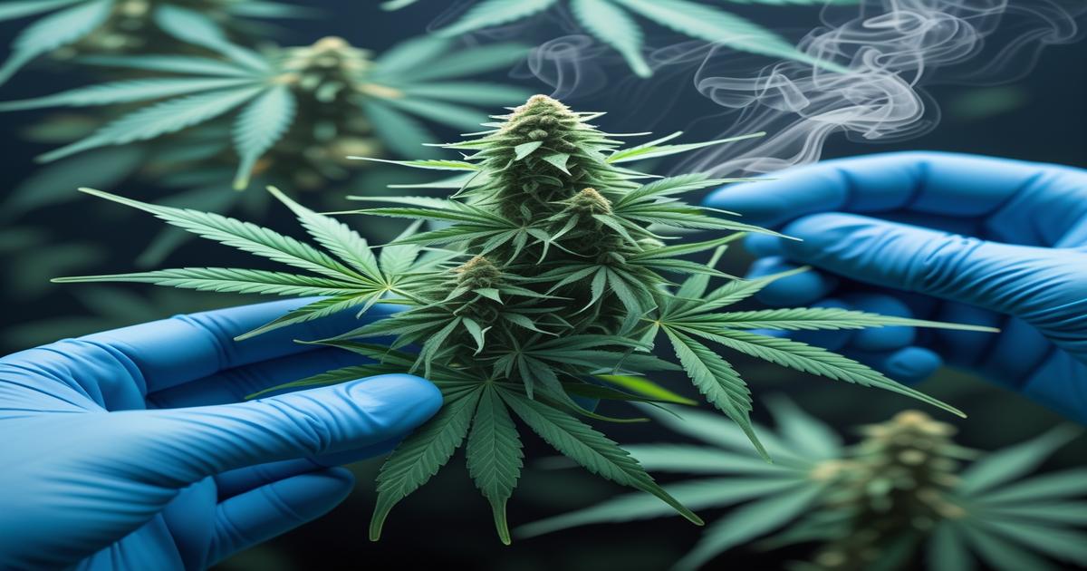 Imagem gerada por IA para ilustrar o conteúdo da Revista Ganja.