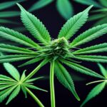 Imagem gerada por IA para ilustrar o conteúdo da Revista Ganja.