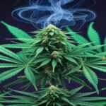 Imagem gerada por IA para ilustrar o conteúdo da Revista Ganja.
