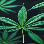 Imagem gerada por IA para ilustrar o conteúdo da Revista Ganja.