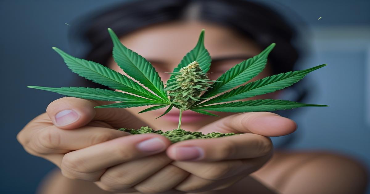 Imagem gerada por IA para ilustrar o conteúdo da Revista Ganja.